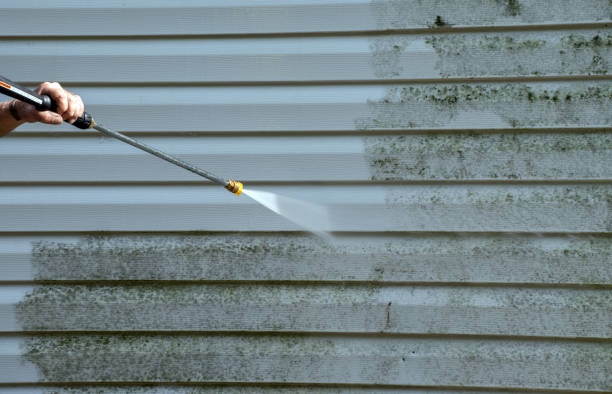 Best Building Exterior Washing  in Weirton, WV